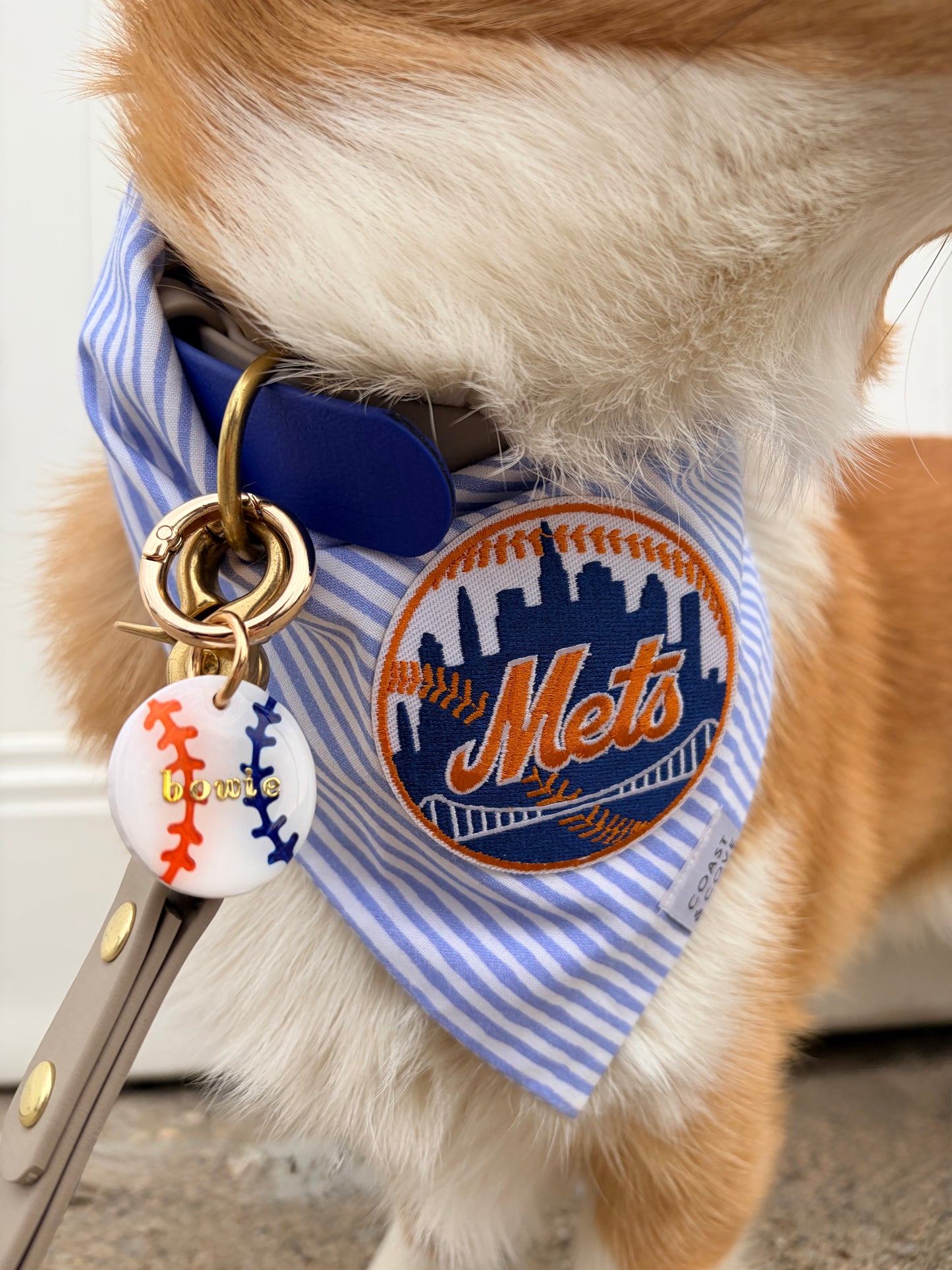 Bowie's Baseball