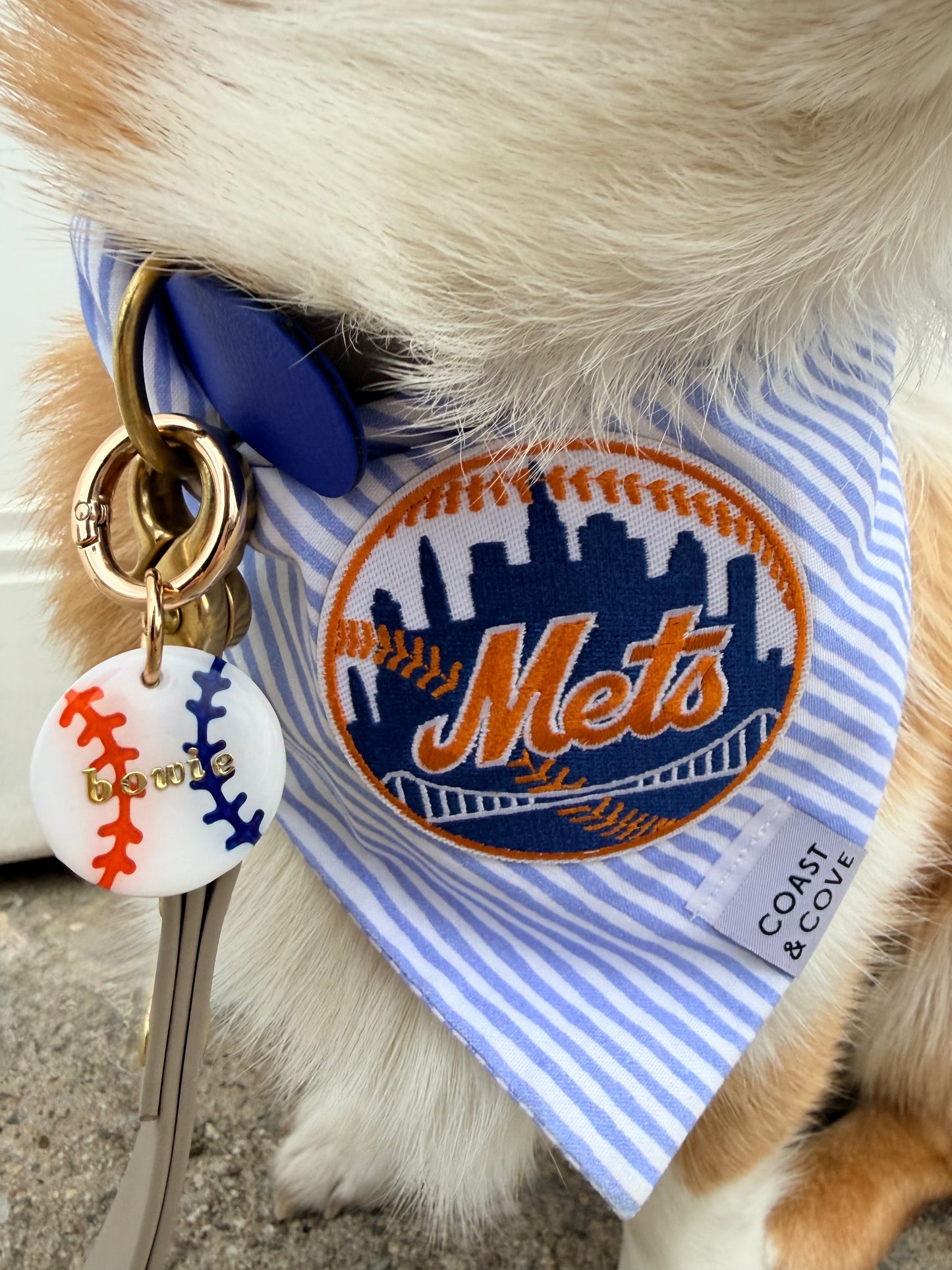 Bowie's Baseball