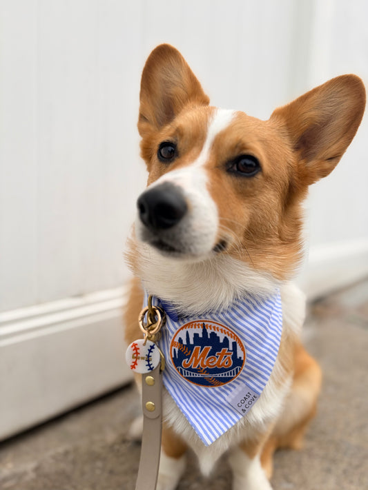 Bowie's Baseball